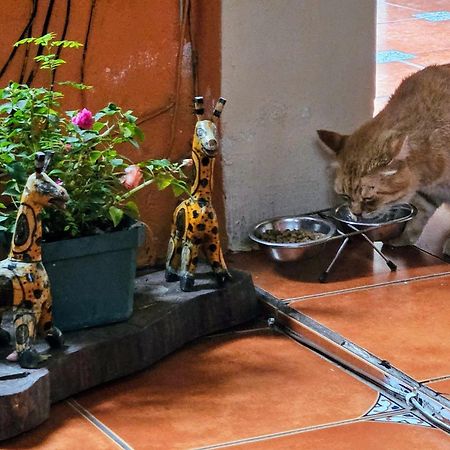 Hotel Casa Del Cerro Antigua Ngoại thất bức ảnh